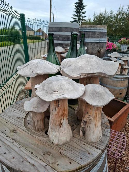 Teak houten paddestoelen set v 5 stuks! Mooie tuindecoratie, Tuin en Terras, Tuinwanddecoratie, Ophalen of Verzenden
