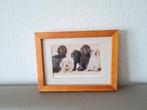 Zeer mooie natuurkleurige kader 20,5 x 15 cm, Ophalen of Verzenden