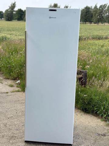 Diepvries Bauknecht A++ Werkt perfect garantie + levering  beschikbaar voor biedingen
