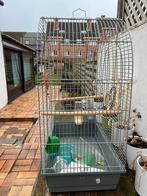 Vogelkooi, Dieren en Toebehoren, Ophalen, Vogelkooi