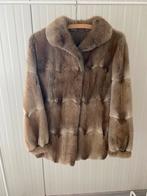 Dames winterjassen, Ophalen, Zo goed als nieuw