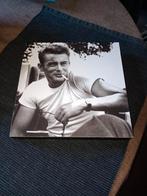 James Dean op blok, Ophalen of Verzenden, Zo goed als nieuw