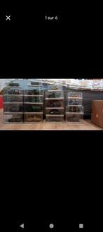 Lot véhicules et blindés de la seconde guerre mondiale, Enlèvement