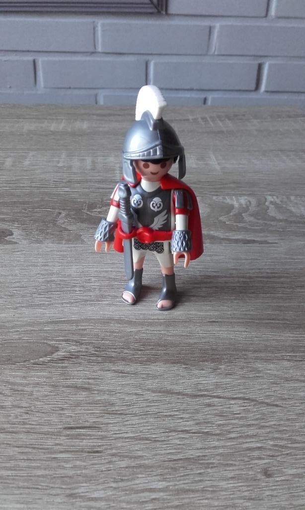 Playmobil-chevalier, Ophalen, Zo goed als nieuw, Complete set