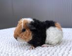 US Teddy Cavia Beertje, Animaux & Accessoires, Rongeurs, Mâle, Cobaye, Domestique