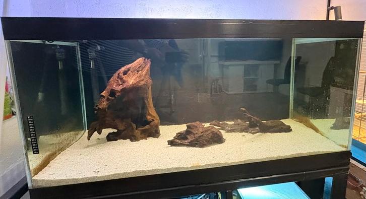 Aquarium d'élevage entièrement vitré, Animaux & Accessoires, Poissons | Aquariums & Accessoires, Utilisé, Aquarium vide, Enlèvement