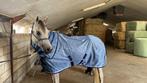 arabier ruin tekoop, Dieren en Toebehoren, Paarden, Gechipt, Ruin, Zadelmak, 3 tot 6 jaar