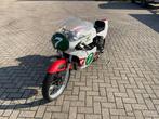 Yamaha Race TZ 250 Motorfiets, Motoren, Bedrijf, Overig