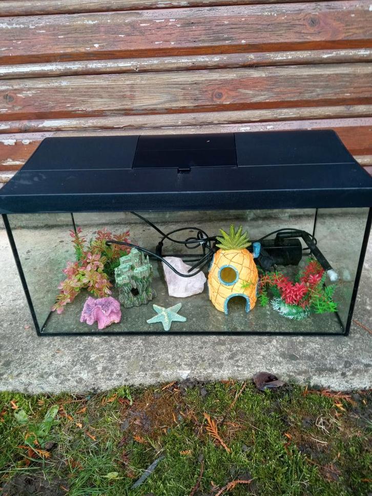 Aquarium, Animaux & Accessoires, Poissons | Aquariums & Accessoires, Pompe, Enlèvement
