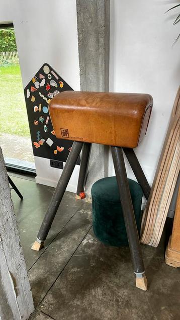 Bok in goede staat, leuk als decoratie, Sport en Fitness, Turnen, Ophalen, Zo goed als nieuw