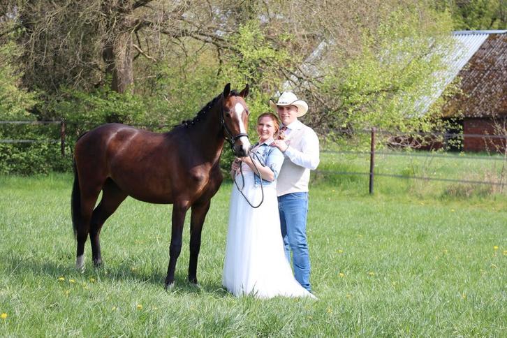 Mooie 3 jarige dressuur merrie, Dieren en Toebehoren, Paarden, Merrie, Ontwormd