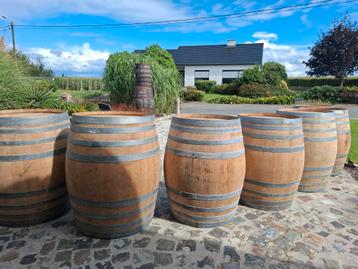 Barils de vin plus grands de 300 l, 400 l et 500 l comme bar