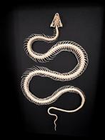 Squelette de Serpent d'eau Enhydris Alternans sous cadre, Insecte, Animal empaillé, Enlèvement ou Envoi, Neuf