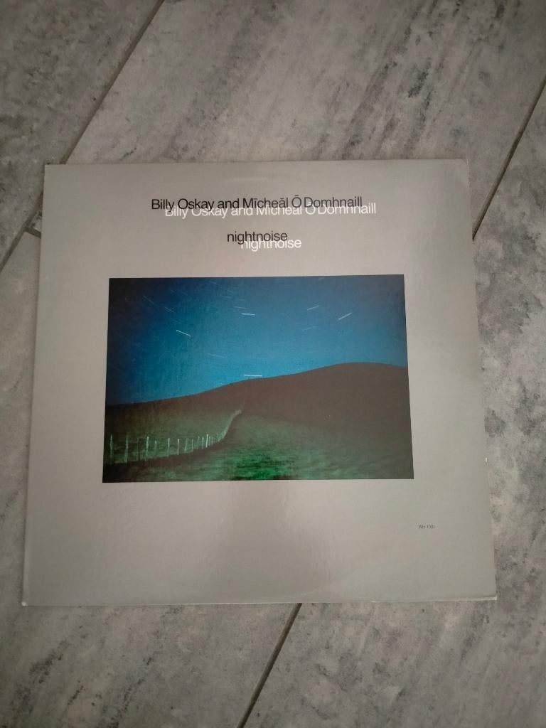 Billy Oskay And Mīcheāl Ō Domhnaill* – Nightnoise, CD & DVD, Vinyles | Jazz & Blues, 12 pouces, 1980 à nos jours, Enlèvement, Utilisé
