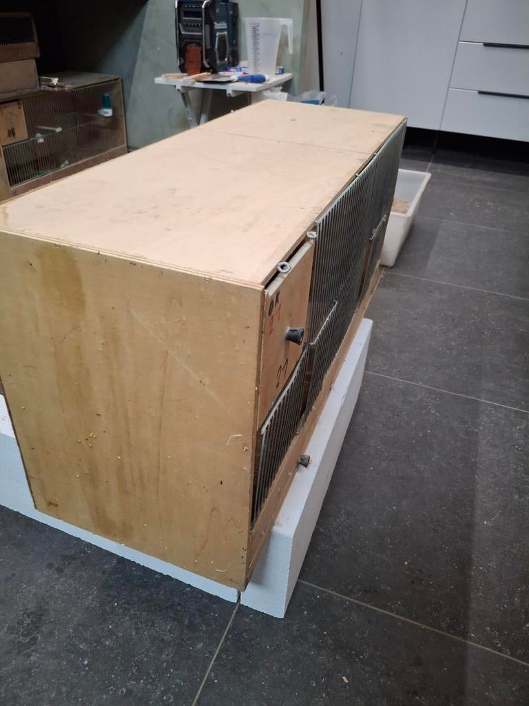 Oude kweekkooien, Ophalen of Verzenden