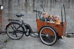 Elektrische bakfiets Easy Cangoo (nieuwe batterij), Fietsen en Brommers, Ophalen
