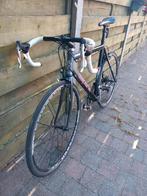 Esperia pro race, Fietsen en Brommers, 28 inch, Gebruikt, 10 tot 15 versnellingen, 57 tot 61 cm