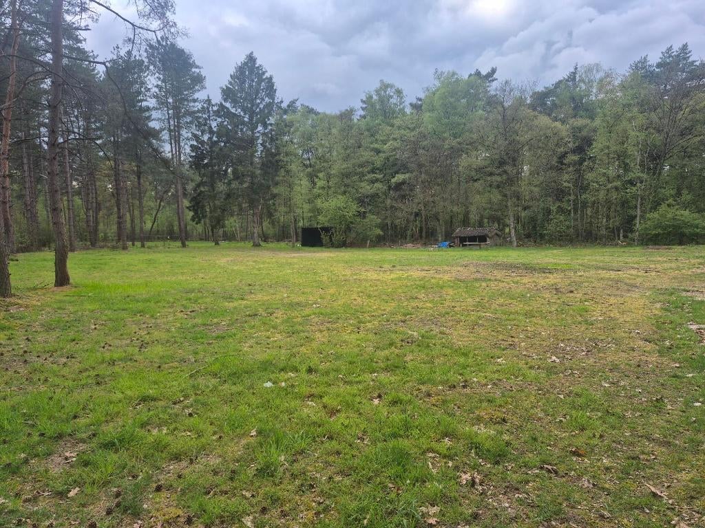 Weide te koop te Achel, Weidegang, 2 of 3 paarden of pony's