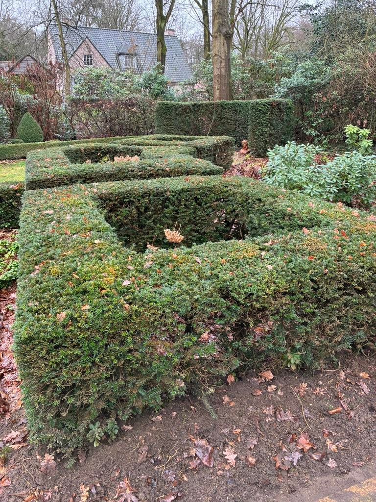 Gratis, Tuin en Terras, Ophalen