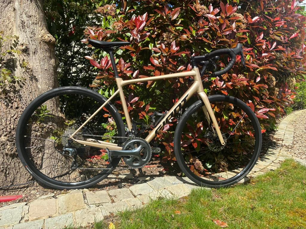 Giant Contend AR 2 — 2024 | Taille M | Sandshell | Bon état, Vélos & Vélomoteurs, Vélos | Vélos de course, Comme neuf, Hommes