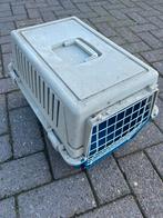 PORTE-CHAT, Enlèvement