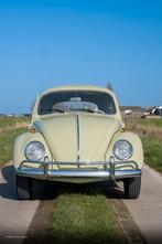 VW coccinelle 1200 Beryl green restaurée + garantie, Autos, Achat, Entreprise, Garantie prolongée, Boîte manuelle
