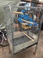 Grote papegaai kooi, Enlèvement