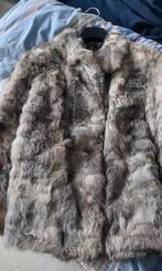 manteau en vison taille 46, Enlèvement, Taille 46/48 (XL) ou plus grande