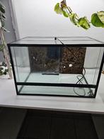 Terrarium, Ophalen, Zo goed als nieuw, Terrarium of Paludarium