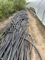 drainer les intestins, Enlèvement