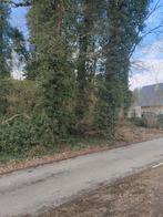 Bos aangrenzend aan bouwzone, Immo, Gronden en Bouwgronden, Zutendaal, Verkoop zonder makelaar, 500 tot 1000 m²