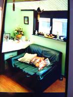 2 Persoons zetel, Huis en Inrichting, Zetels | Zetels, Ophalen, Kunststof, Gebruikt, 150 tot 200 cm