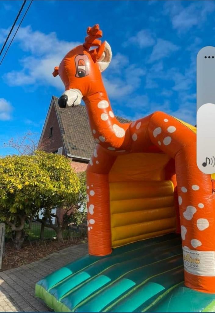 Bambi kasteel te huur, Enlèvement