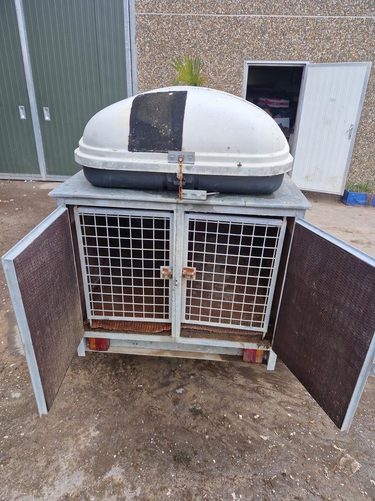 chiens de remorque, Animaux & Accessoires, Enlèvement