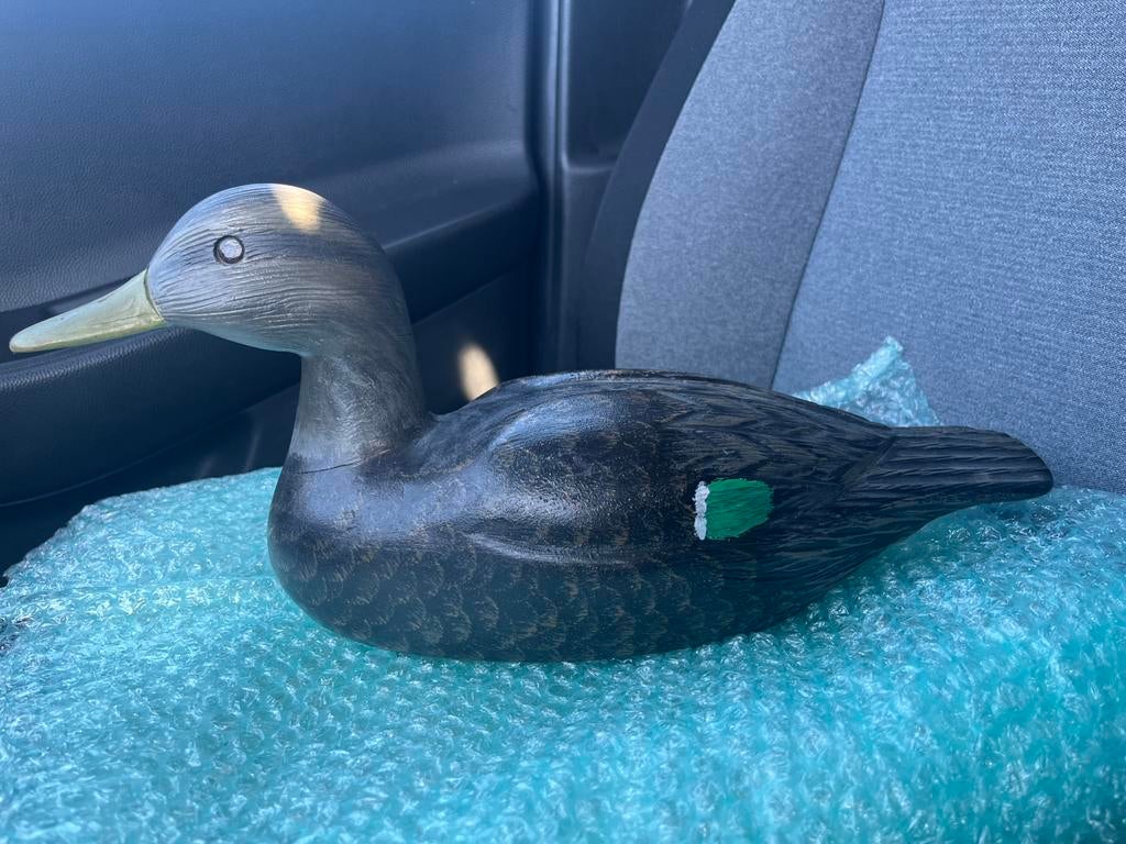 Lokeend blackbird lacombe 1979 louisville, Ophalen of Verzenden, Zo goed als nieuw