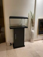 Aquarium + kast, Dieren en Toebehoren, Ophalen, Gebruikt, Leeg aquarium