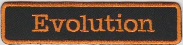 Harley Davidson Evolution stoffen opstrijk patch embleem #1, Motos, Accessoires | Autre, Neuf, Envoi