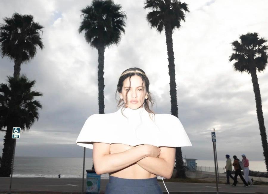 2 tickets Rosalia Amsterdam, Tickets en Kaartjes, Twee personen, April