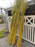 Wilgentenen, Tuin en Terras, Ophalen