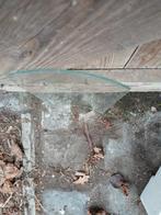 Gebogen serre glas., Doe-het-zelf en Bouw, Ophalen