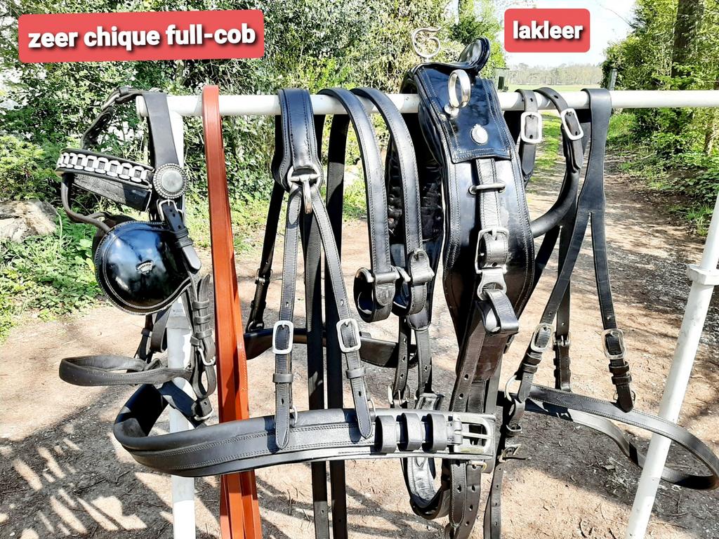 🔴HONGAARS CHIQUE FULL-COB LAKLEER KOETS TUIG 375 € 🔴, Dieren en Toebehoren, Ophalen of Verzenden