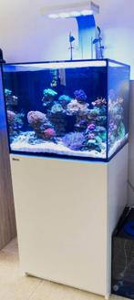 Aquarium red sea 170, Enlèvement