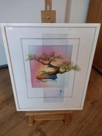bonsai boompje werk is gesigneerd zit achter glas, Enlèvement ou Envoi