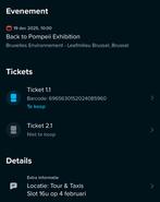 Ticket ‘Back to Pompei’, Tickets & Billets, Une personne, Février