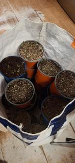 Plastic Potjes voor te zaaien, Enlèvement, Utilisé, Rond, Autres matériaux