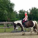 Leuke tinker zoekt consequente ruiter, Dieren en Toebehoren, Paarden, Merrie, Minder dan 160 cm, Gechipt, 11 jaar of ouder