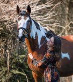 Prachtige allround merrie, Dieren en Toebehoren, Paarden, Merrie, Z, 11 jaar of ouder