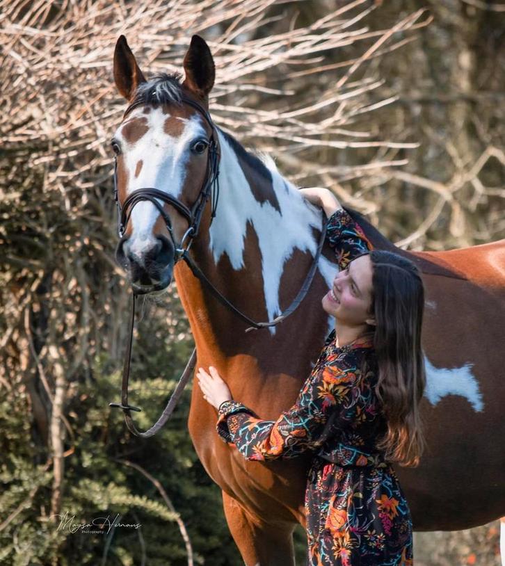 Prachtige allround merrie, Dieren en Toebehoren, Paarden, Merrie, Z, 11 jaar of ouder