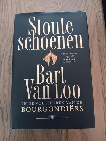 Boek: Stoute schoenen - bart van loo, Bart van loo, Enlèvement, Belgique, Comme neuf