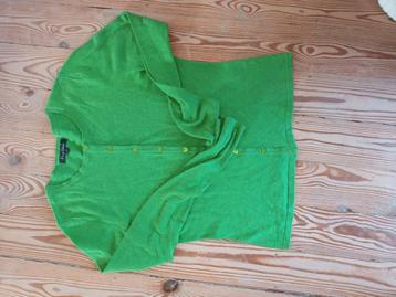 King Louie  beschikbaar voor biedingen